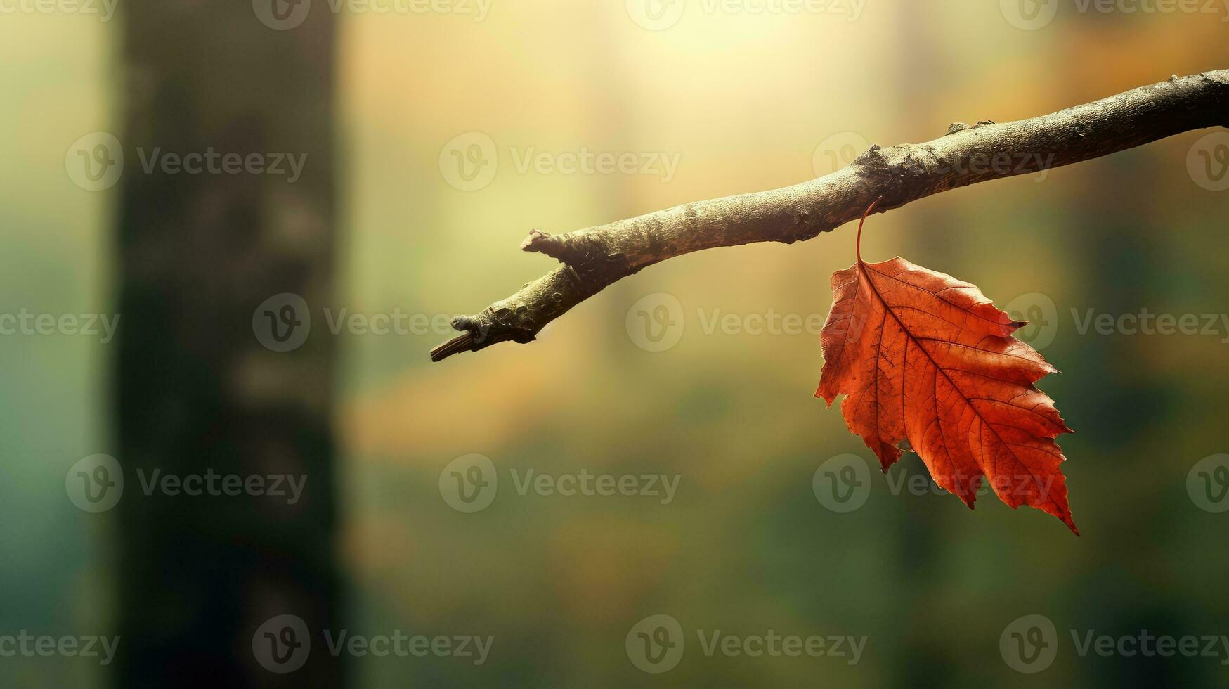 ai généré la nature ciel en bois arbre campagne ai généré photo