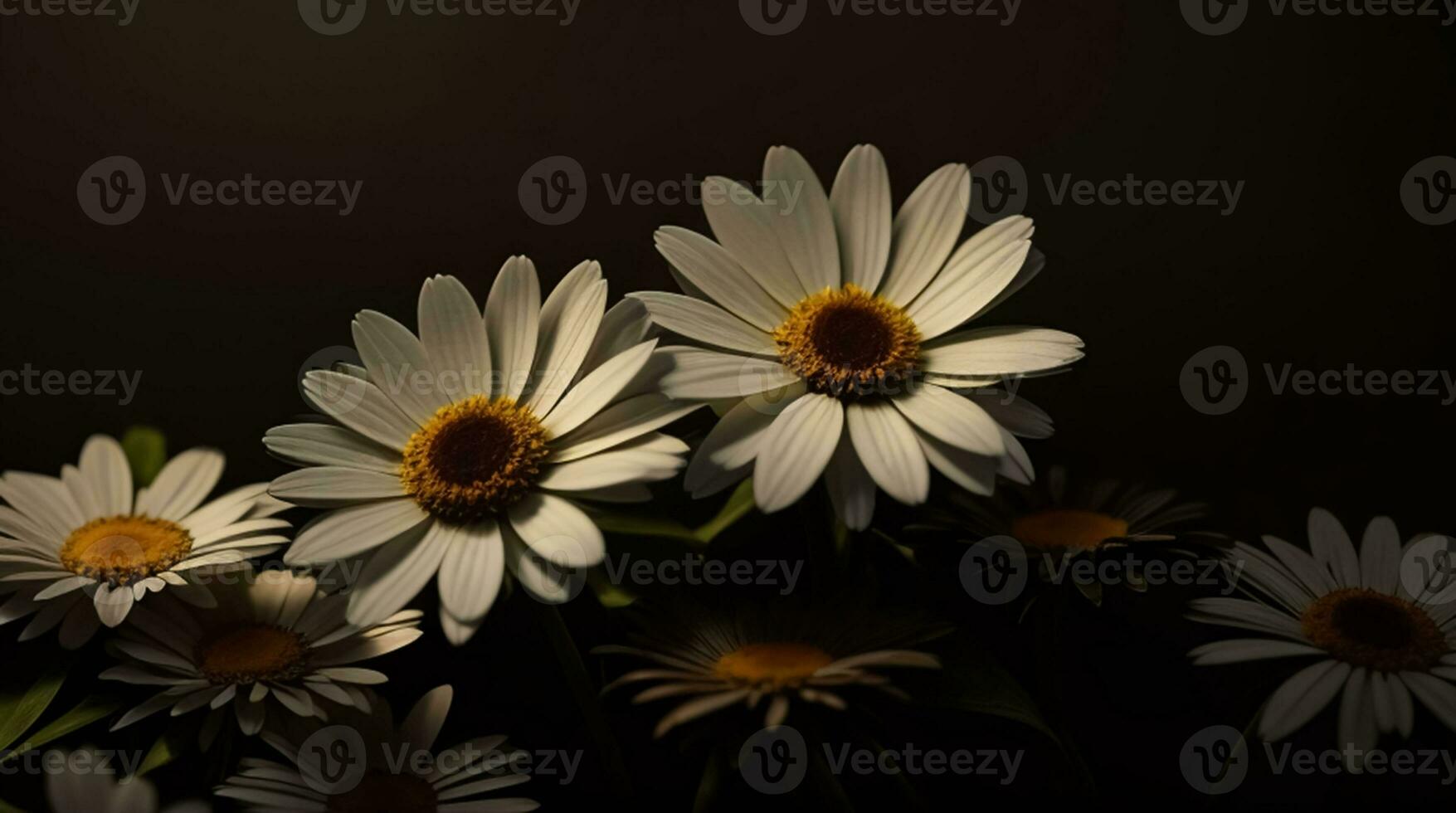 ai génératif magnifique Marguerite fleur ou Bellis Perennis je, ou composée épanouissement dans le parc pendant lumière du soleil photo