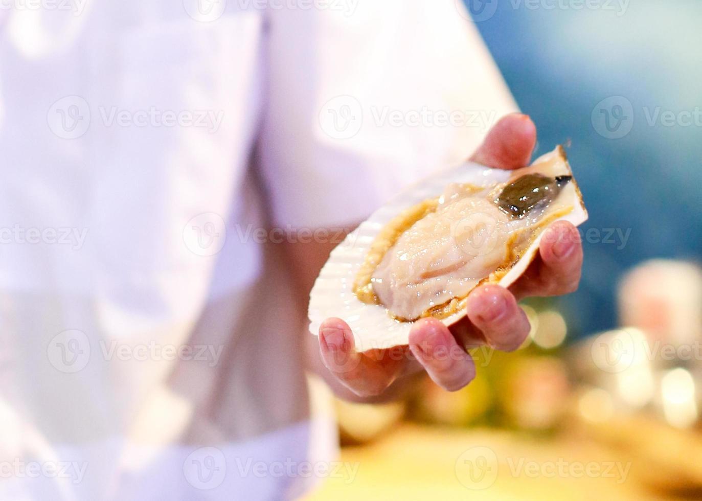 coquille de pétoncle fraîche à portée de main chef, pétoncle cru propre et ouvert photo