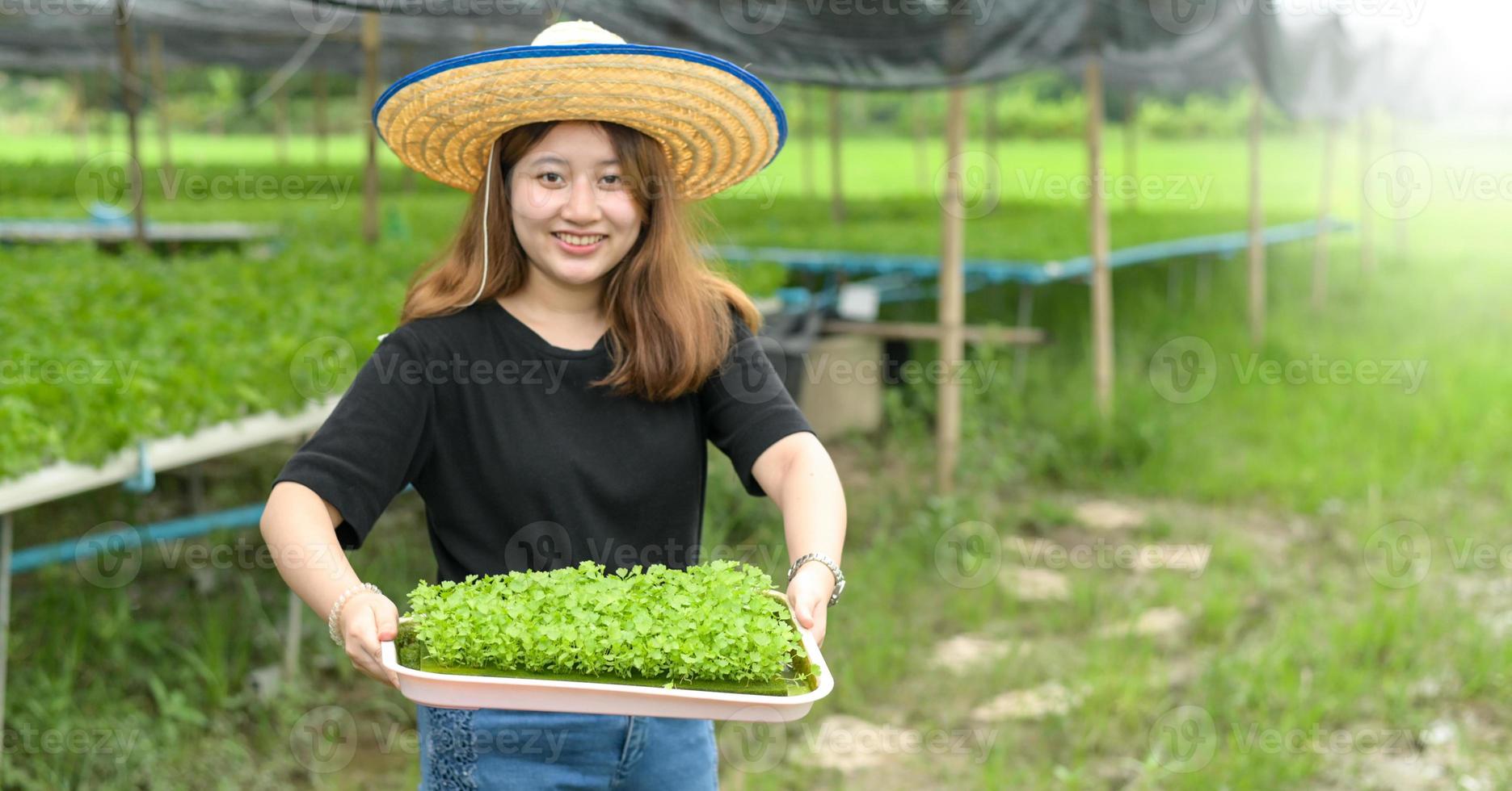 une agricultrice montre un plateau de plants de légumes dans une serre. photo