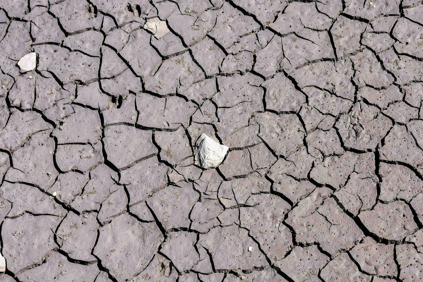 une fissuré et sec surface avec une blanc Roche photo