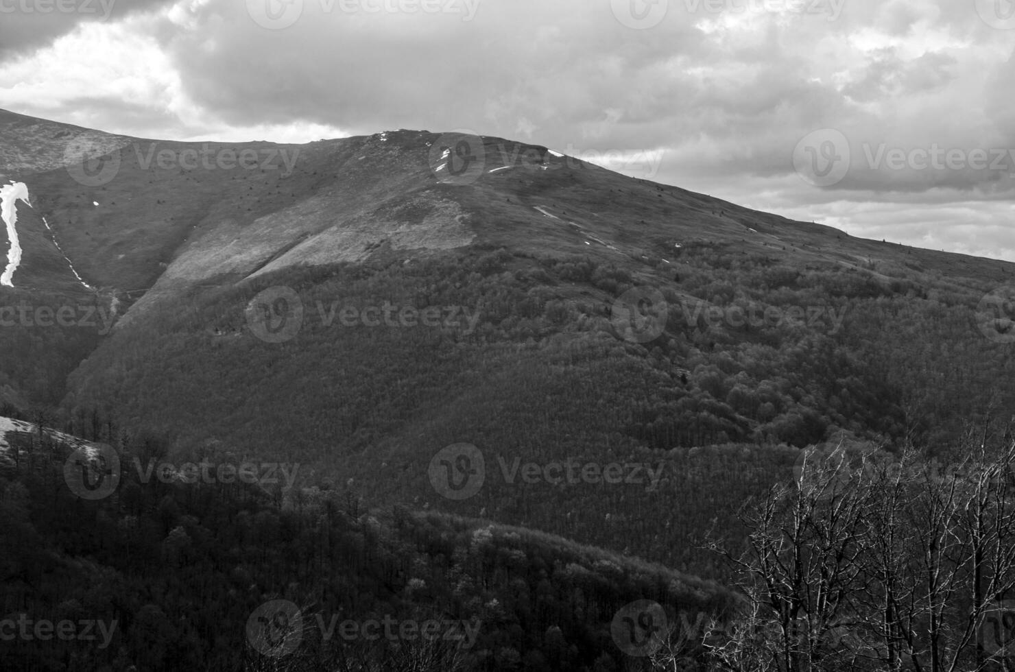 foncé Montagne forêt noir et blanc Contexte photo