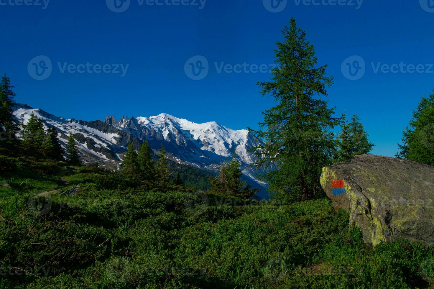 pecleret,arge,tiere, chamonix,haute savoie,france photo