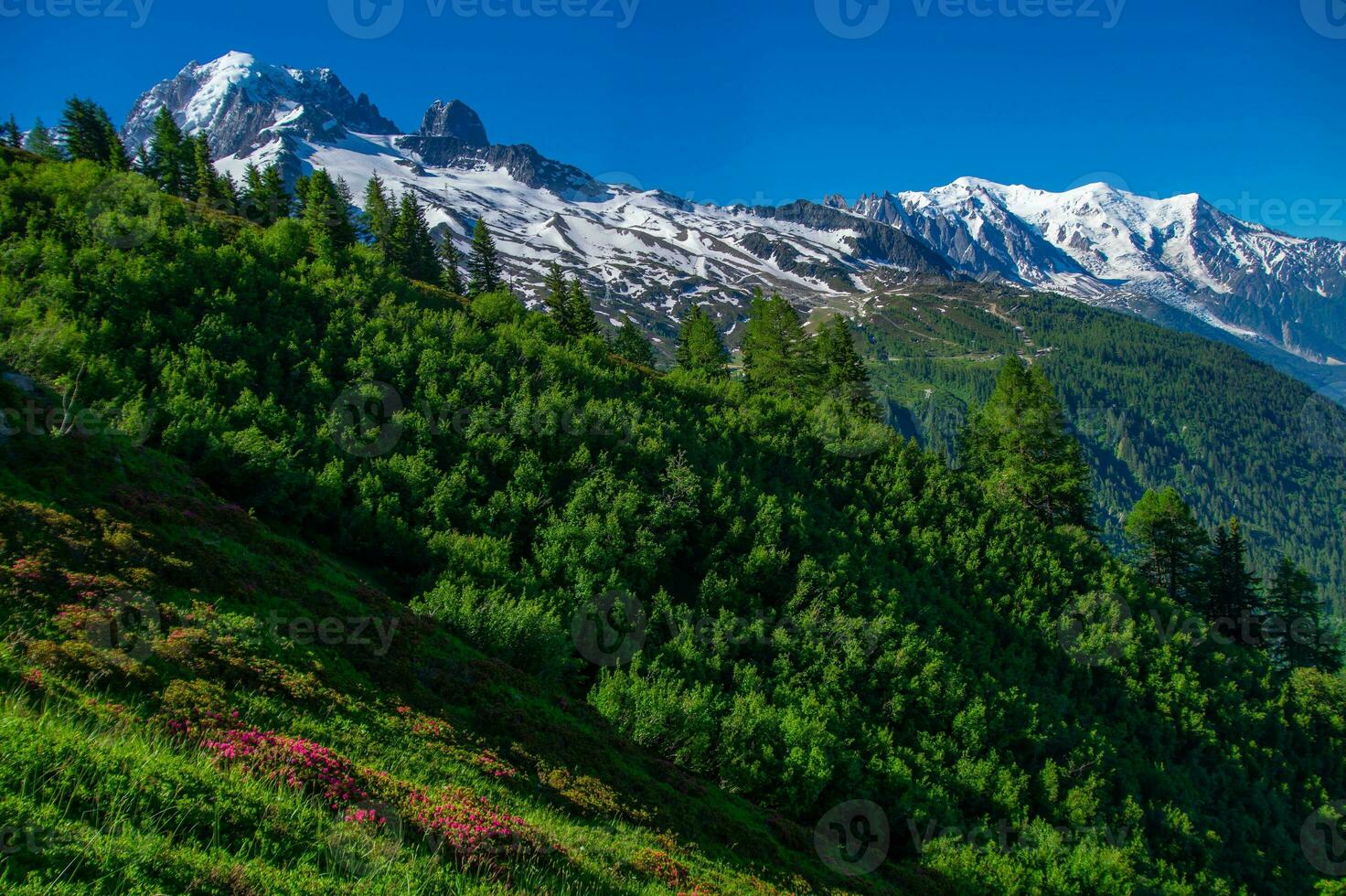 pecleret,arge,tiere, chamonix,haute savoie,france photo