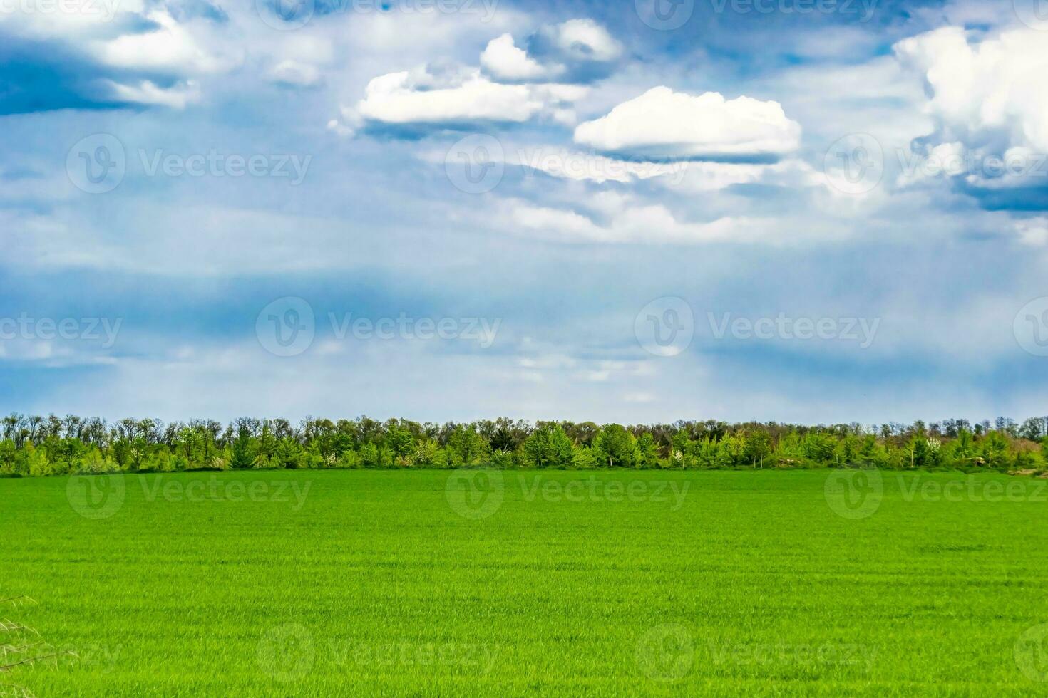 beau paysage d'horizon dans la prairie du village sur fond naturel de couleur photo