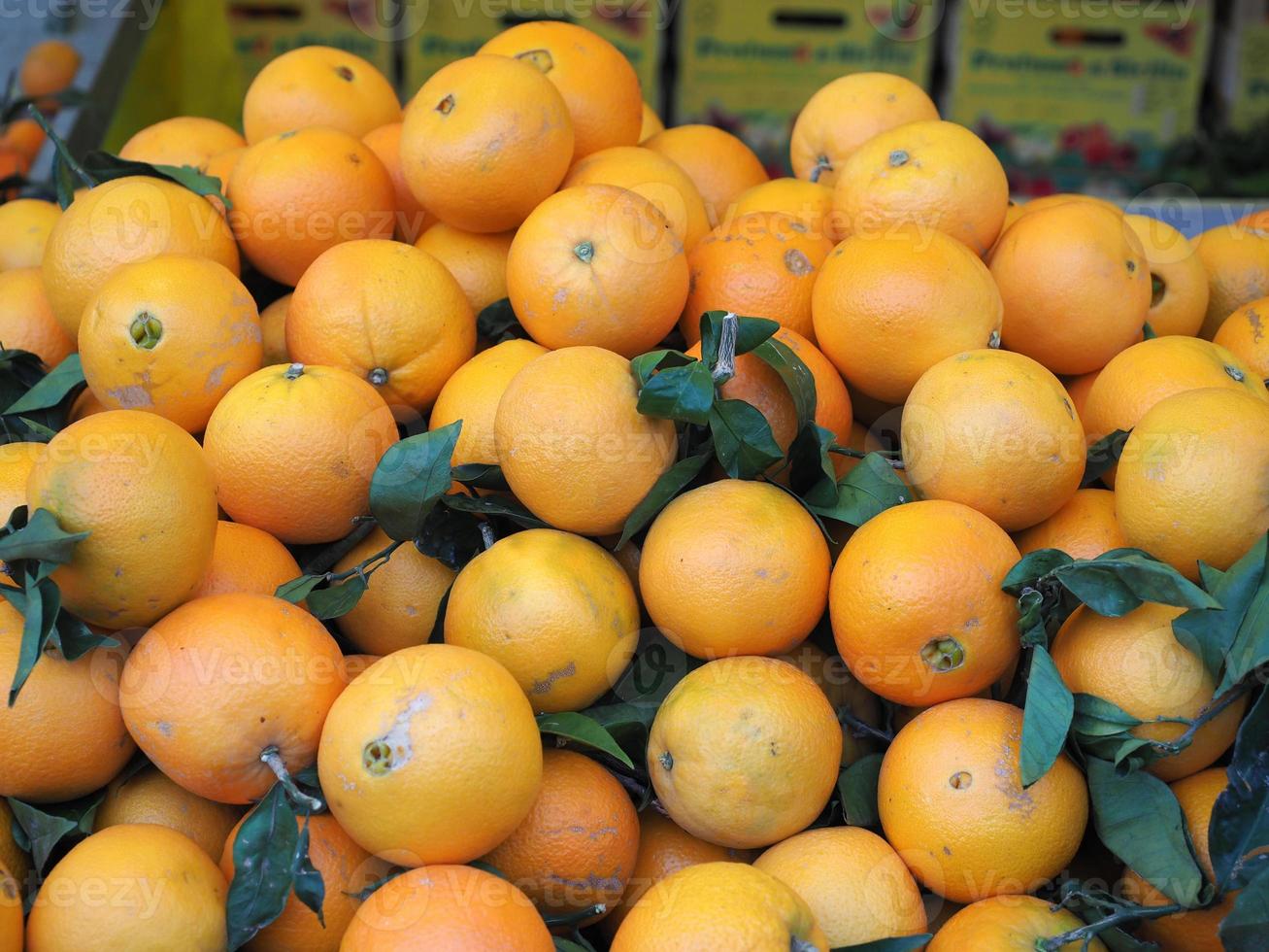 oranges au marché photo