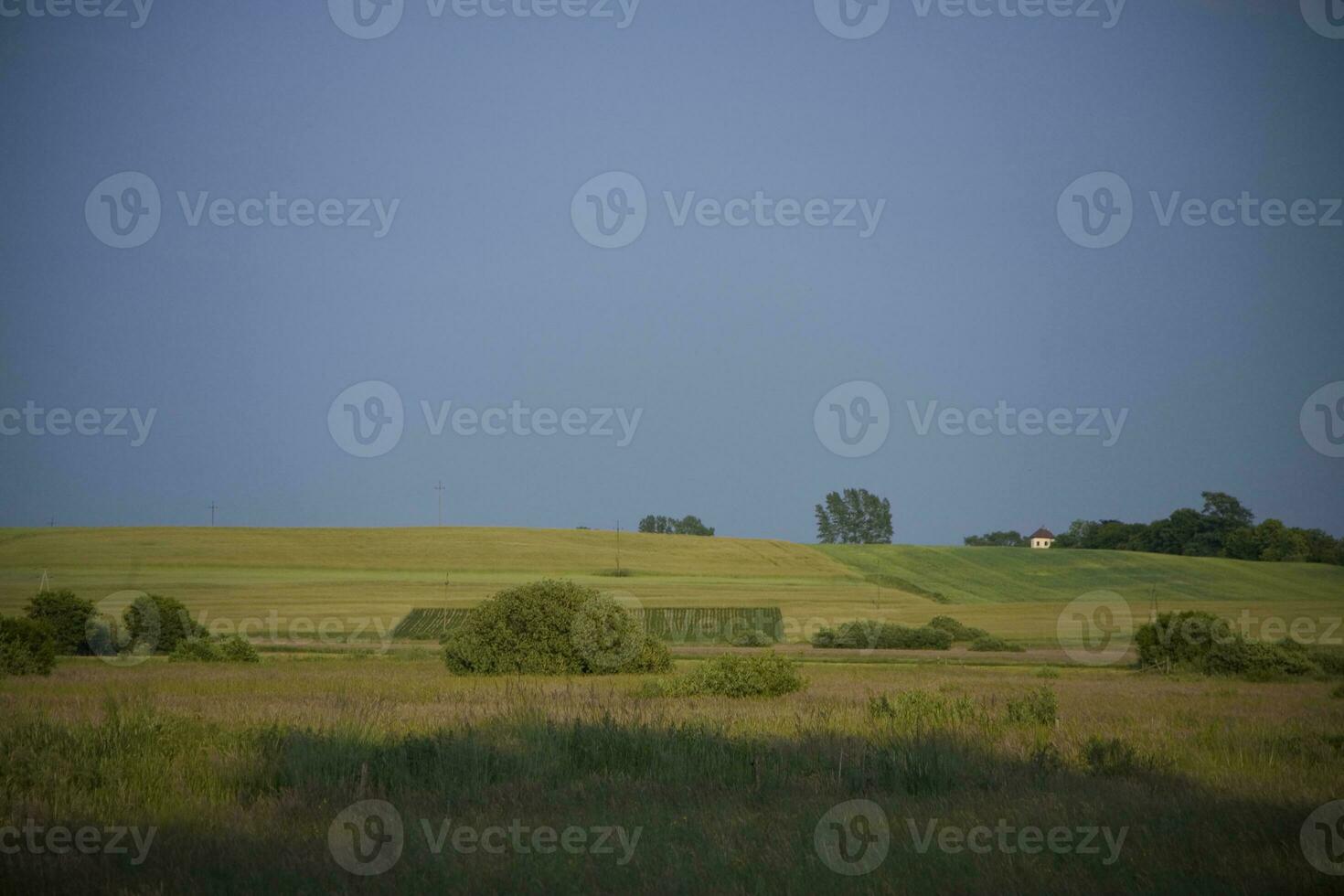 été paysage Pologne photo