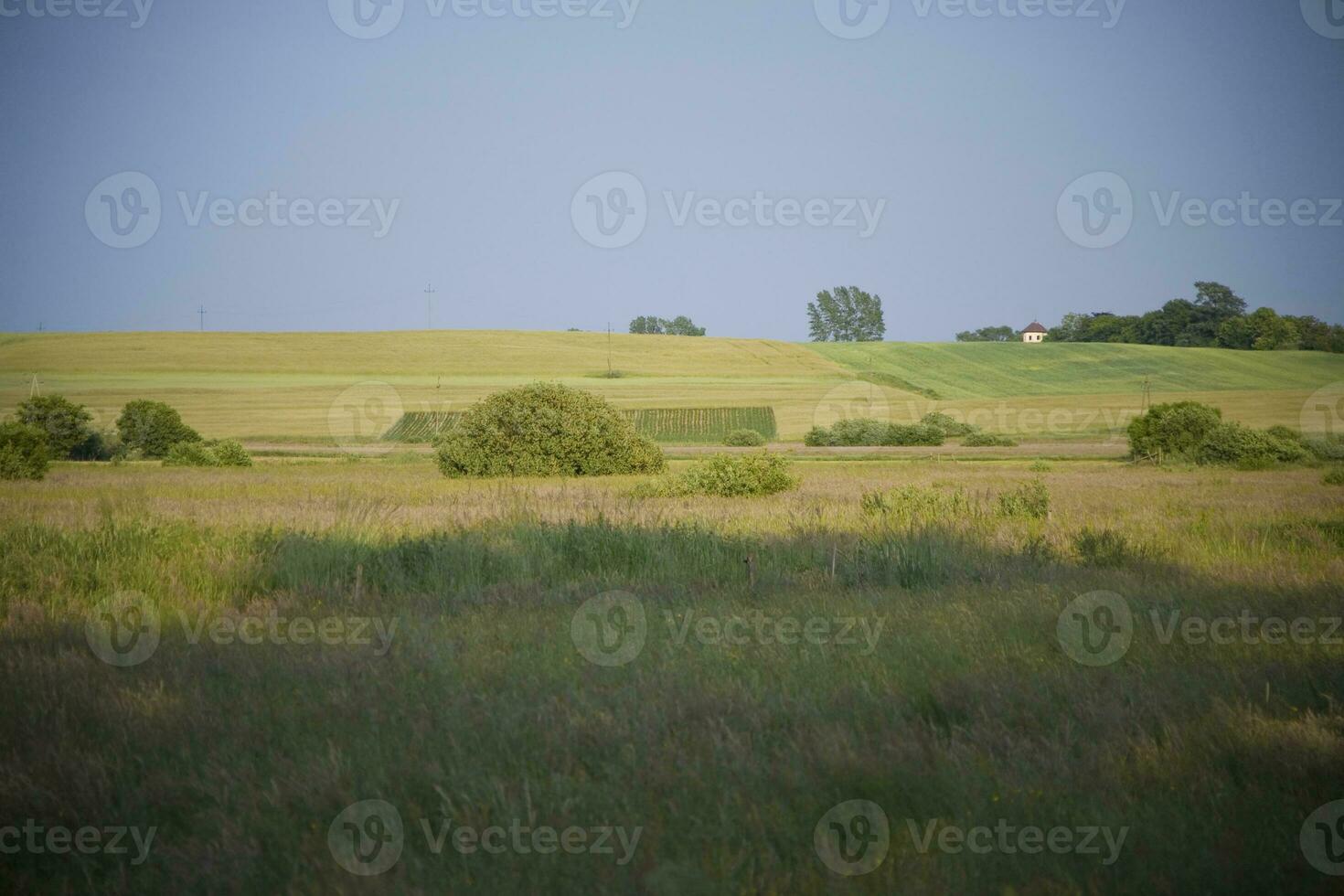 été paysage Pologne photo