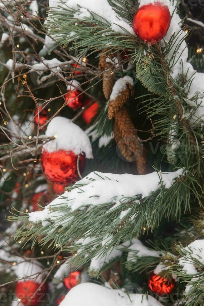 Noël des arbres décoré avec rouge des ballons dans de face de le café entrée. rue Noël décorations. photo