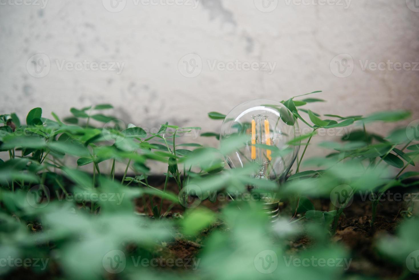 ampoule avec des options énergétiques respectueuses de l'environnement et durables photo