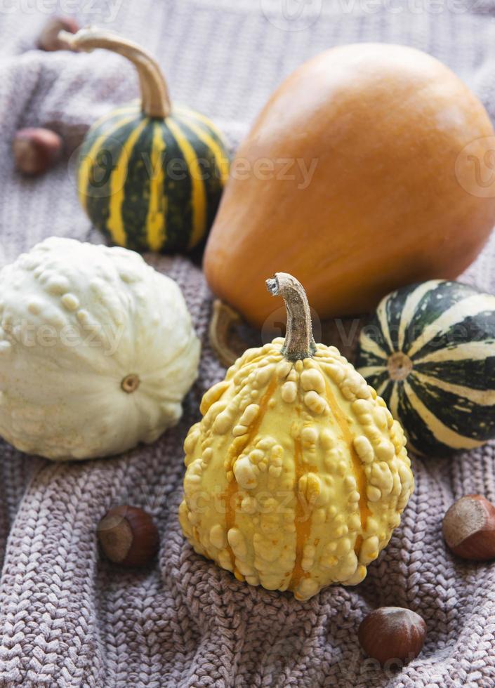 une nature morte d'automne rustique avec des citrouilles photo