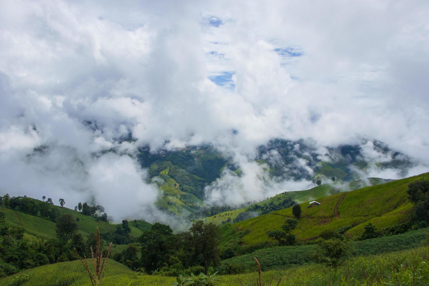 paysage de brouillard et de nuages en saison des pluies beaux paysages naturels photo