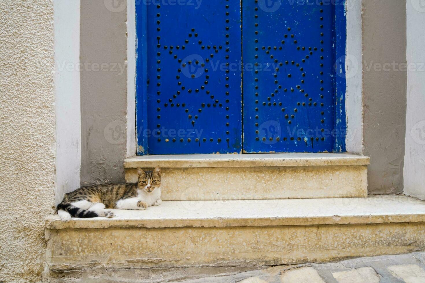 image de vieux porte dans Tunisie. arabe style architecture photo