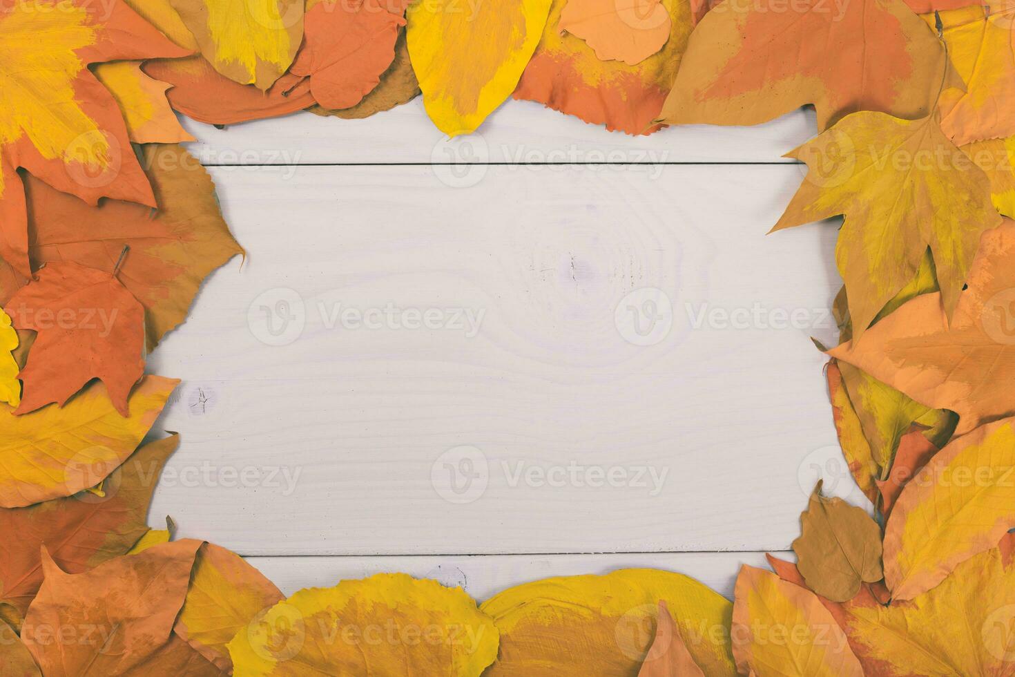 l'automne feuilles Cadre sur blanc en bois Contexte photo