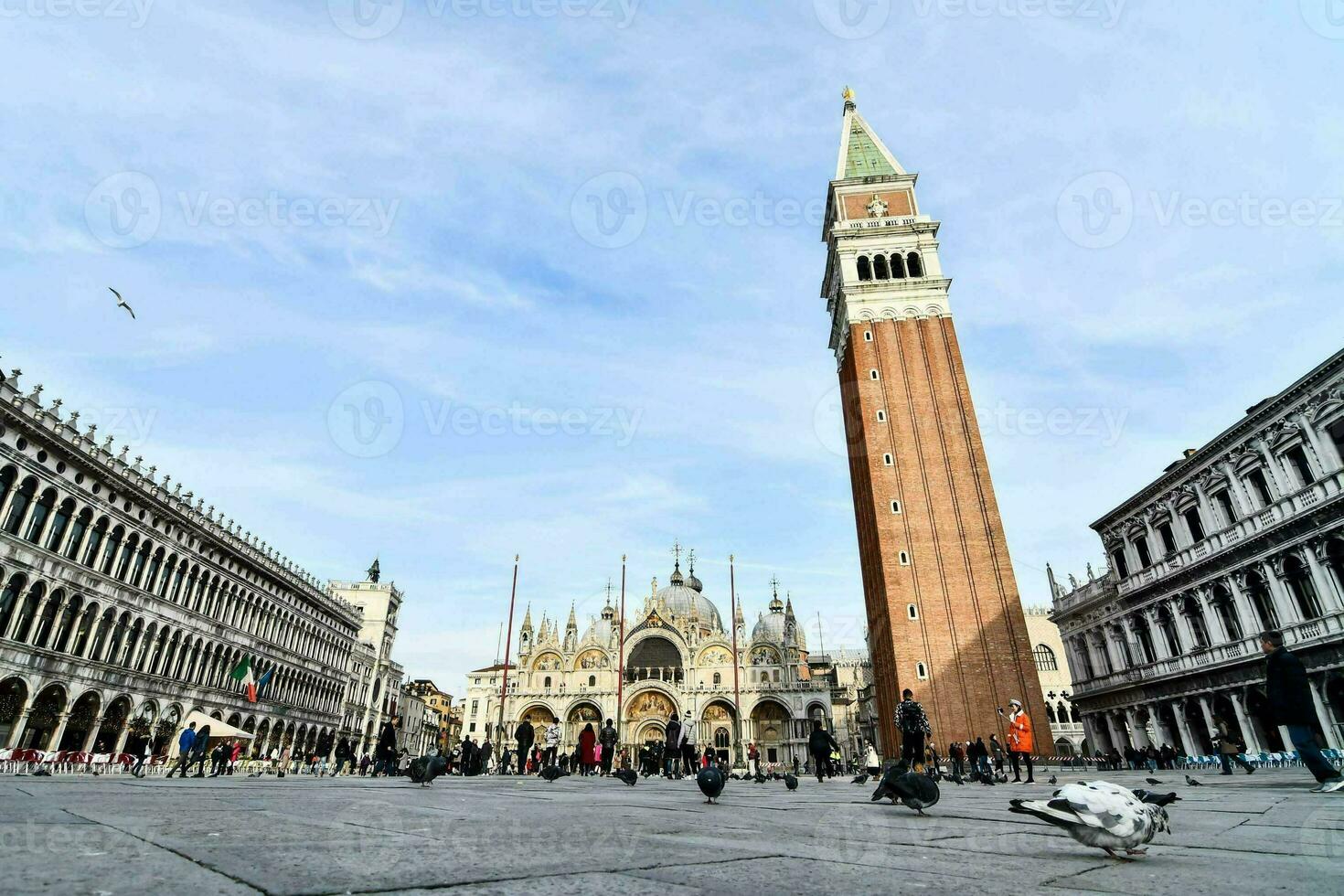 le vue de le piazza san marco photo