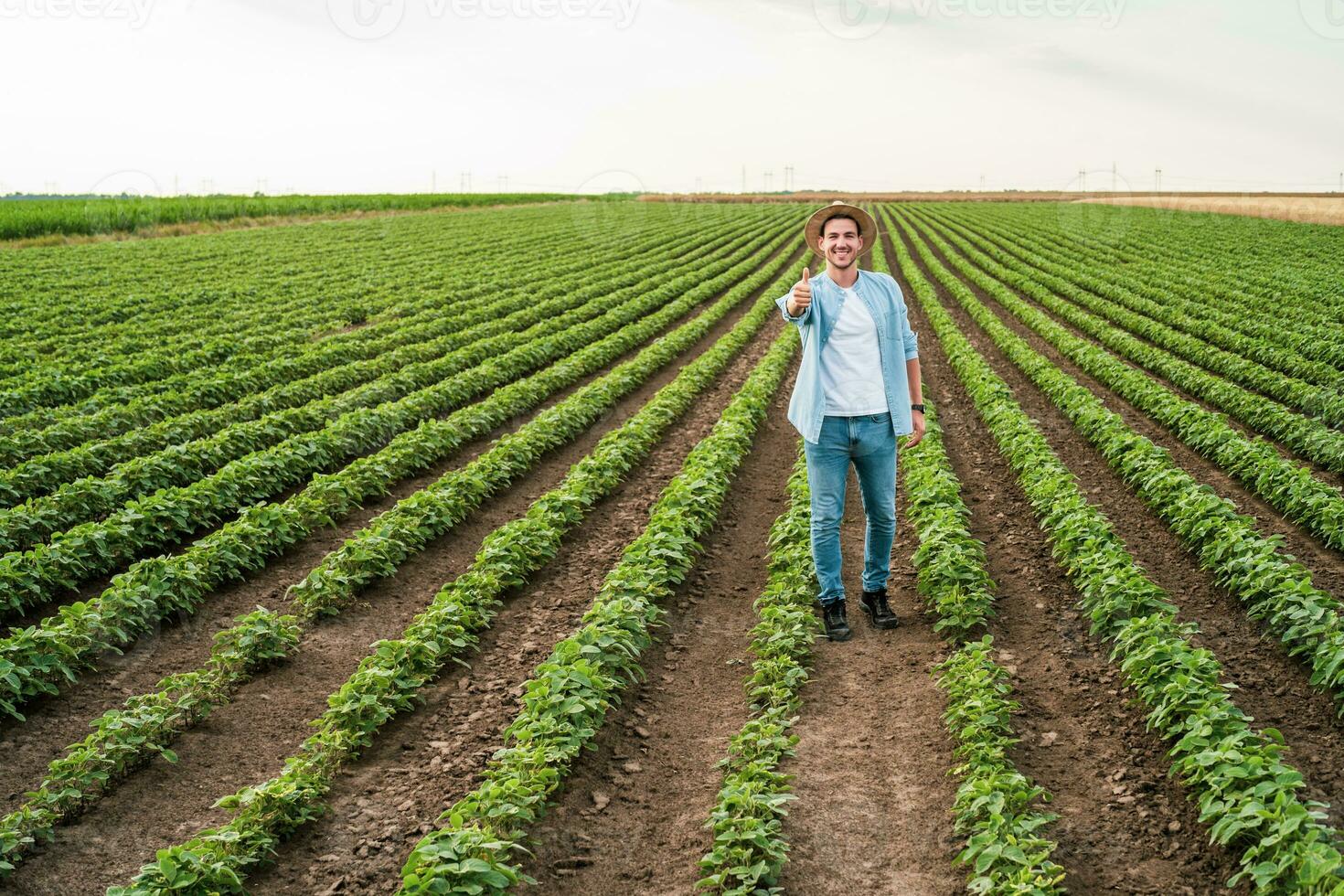 agriculteur est montrant pouce en haut tandis que permanent dans le sien croissance soja champ. photo