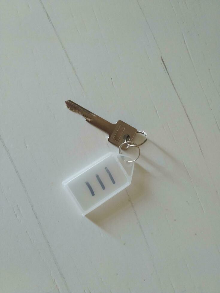clé sur le porte-clés dans le forme de une maison sur une blanc Contexte photo