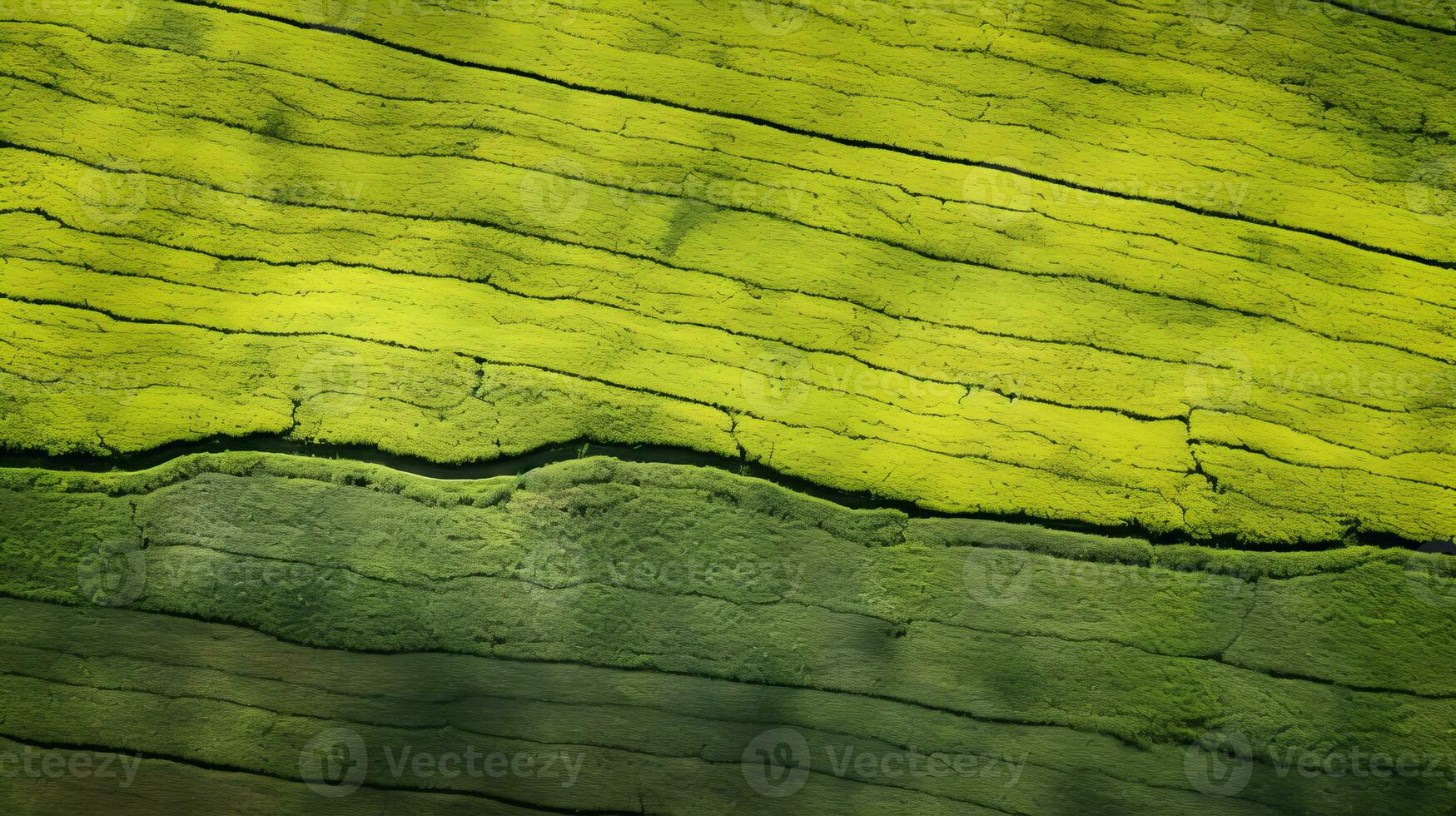 ai généré thé plantation paysage, Haut vue texture photo