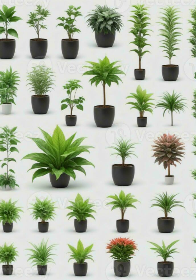 collection de les plantes isolé sur une blanc Contexte. ai généré photo