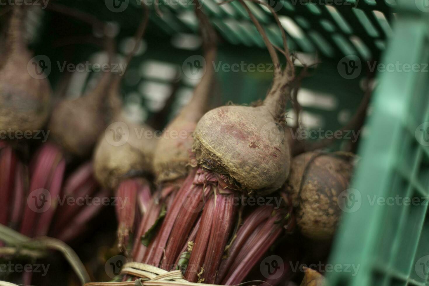 Frais récolté racines de betterave dans en bois Caisse, betteraves avec feuilles dans le marché photo