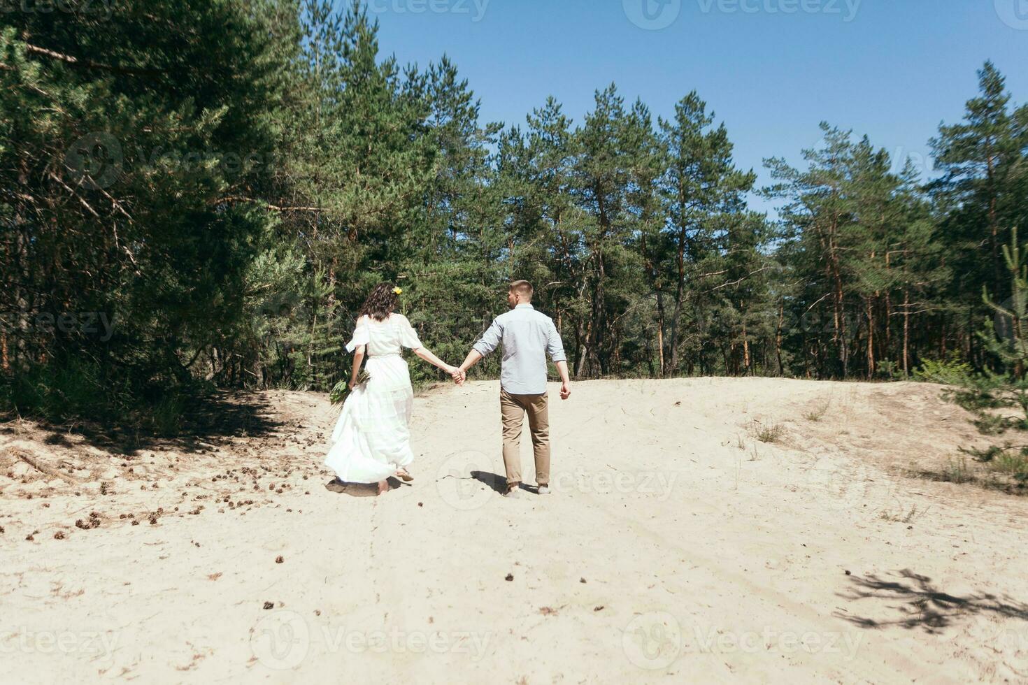 mariage marcher dans le pin forêt. ensoleillé journée. photo