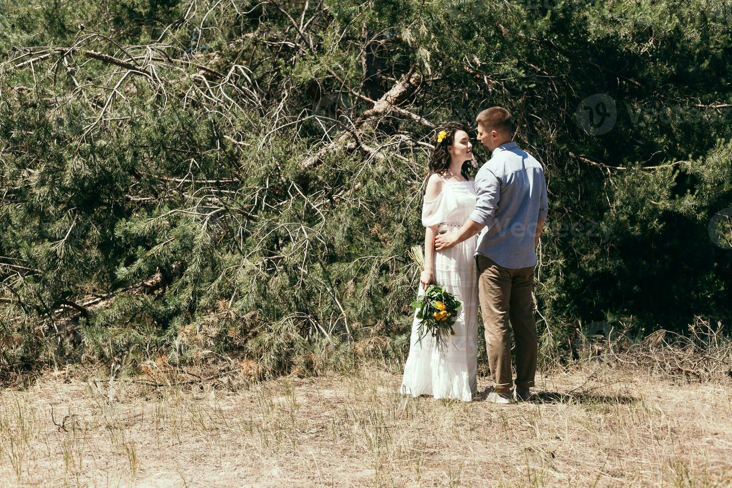 mariage marcher dans le pin forêt. ensoleillé journée. photo