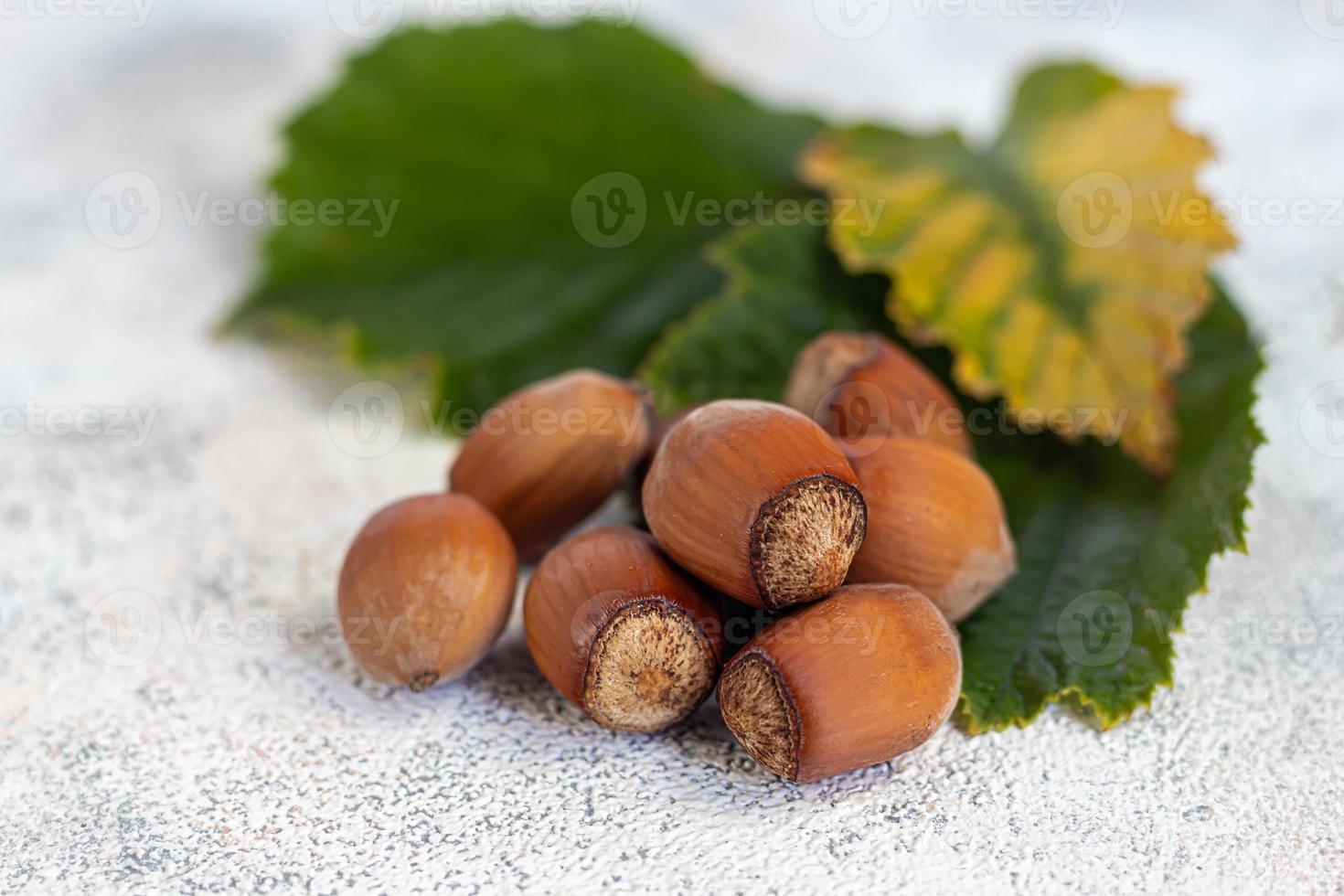 noisettes sur fond clair avec des feuilles vertes photo