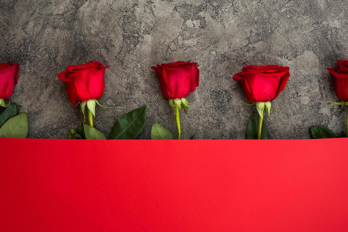 Des roses fraîches de couleur rouge foncé se trouvent sur une table sur un fond rouge foncé. un cadeau pour un être cher photo