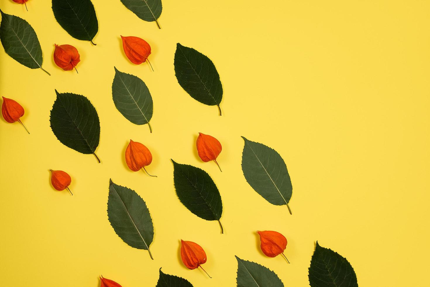 fond jaune avec un motif de feuilles vertes fraîches et de physalis photo