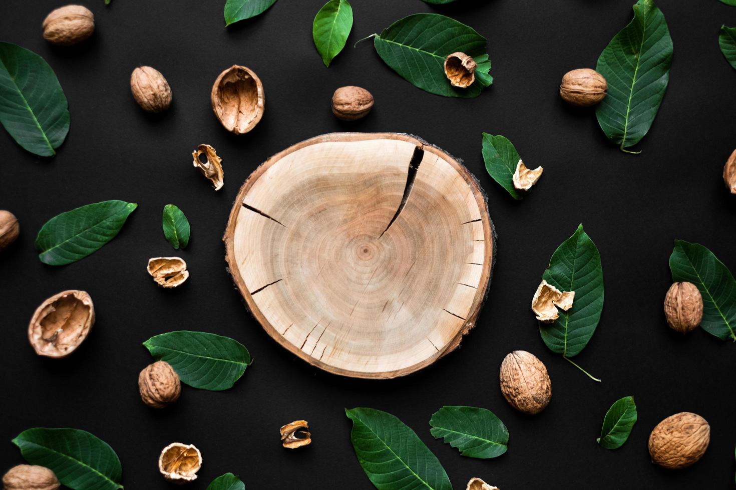 coquille de noix et feuilles vertes fraîches dispersées sur un fond noir. coupe d'arbre en bois au centre photo