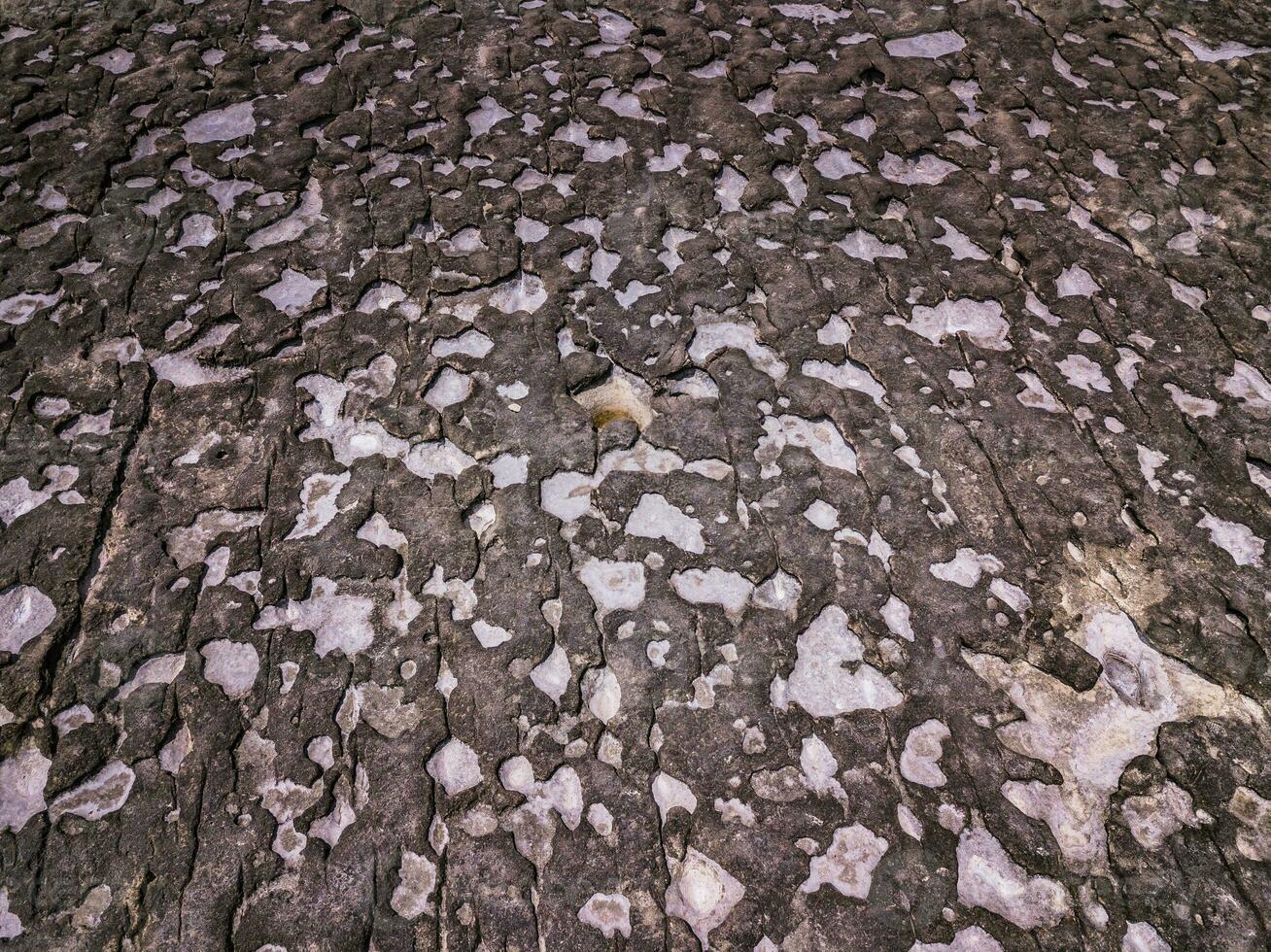 des trous dans rochers sur le bord de mer photo
