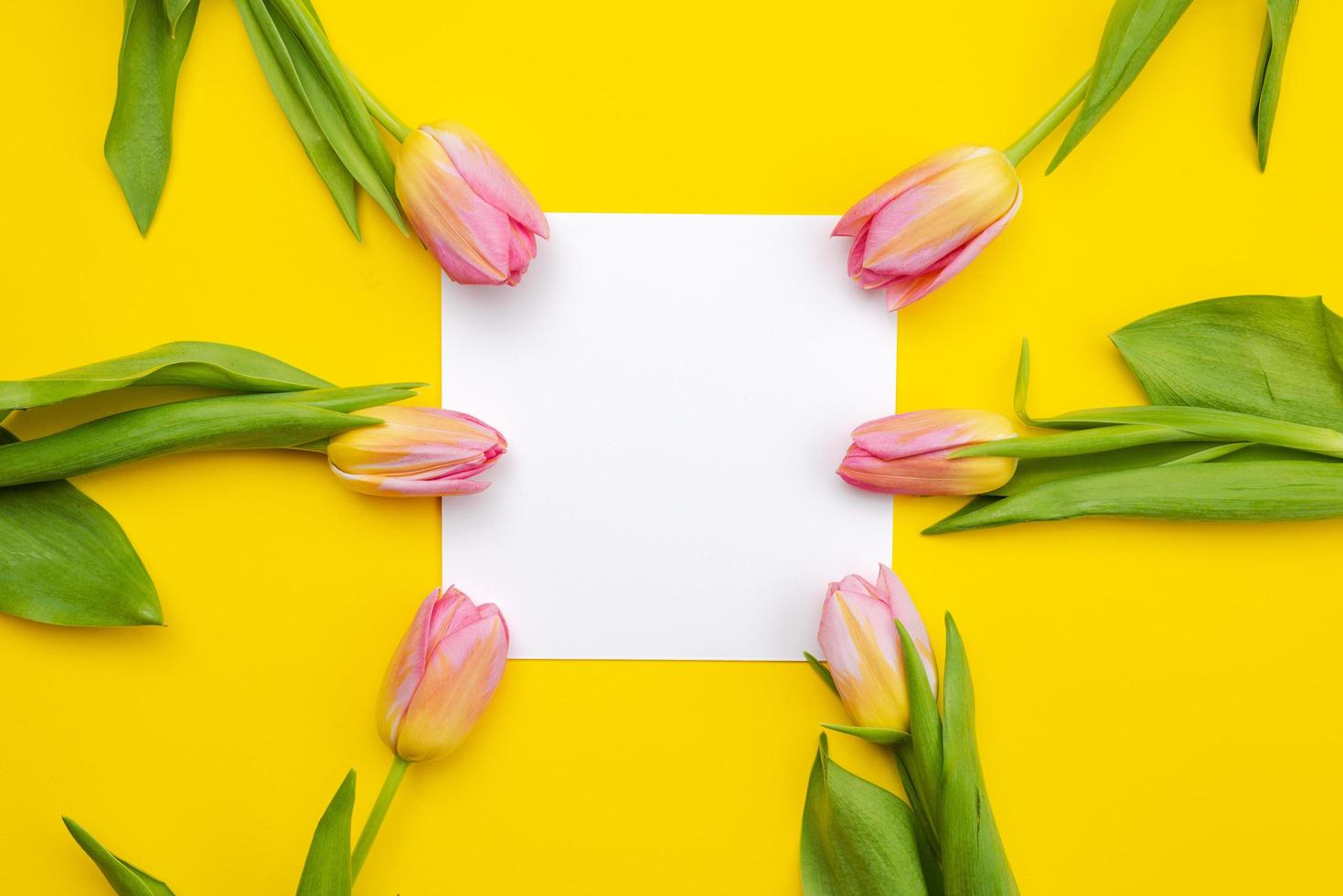 autour de la feuille vide bordée de belles tulipes roses. photo