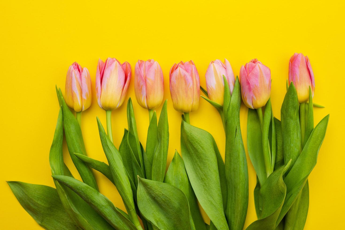 bouquet de tulipes sur fond de pâques jaune. - image photo