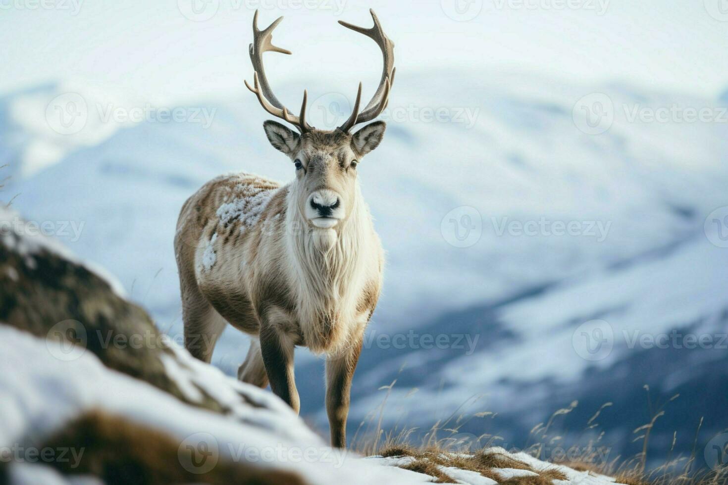 ai généré renne dans le printemps incorporant renouvellement et la nature saisonnier beauté ai généré photo