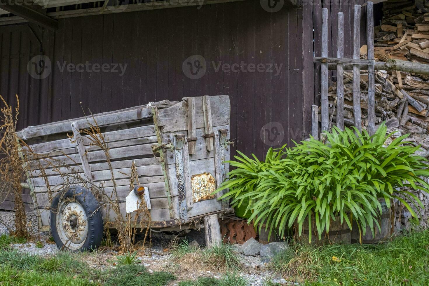 cette photo spectacles encore la vie dans une Les agriculteurs village