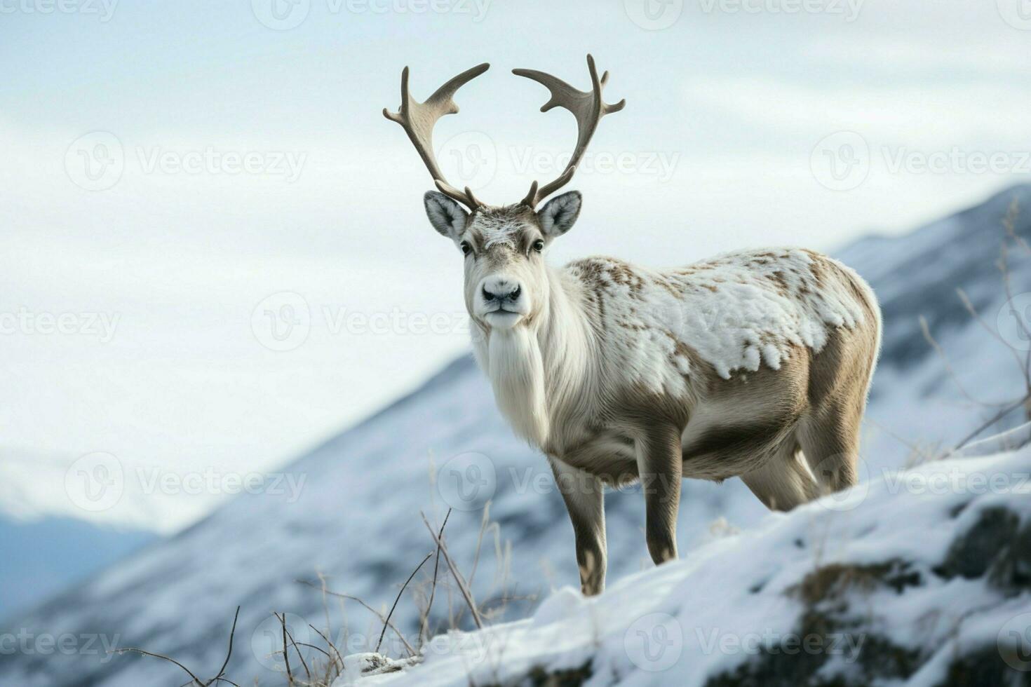 ai généré renne dans le printemps incorporant renouvellement et la nature saisonnier beauté ai généré photo