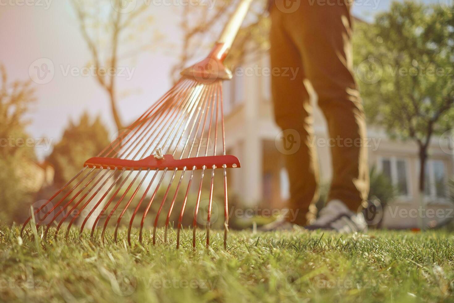 inconnue Jeune homme dans décontractée vêtements est en utilisant rouge jardin râteau sur une pelouse de le sien cour. utile outil de moderne jardinier. ensoleillé journée. proche en haut photo