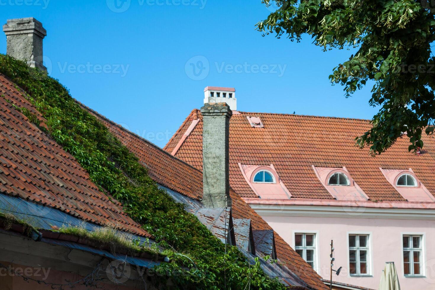 vue de le vieux ville Tallinn, Estonie photo