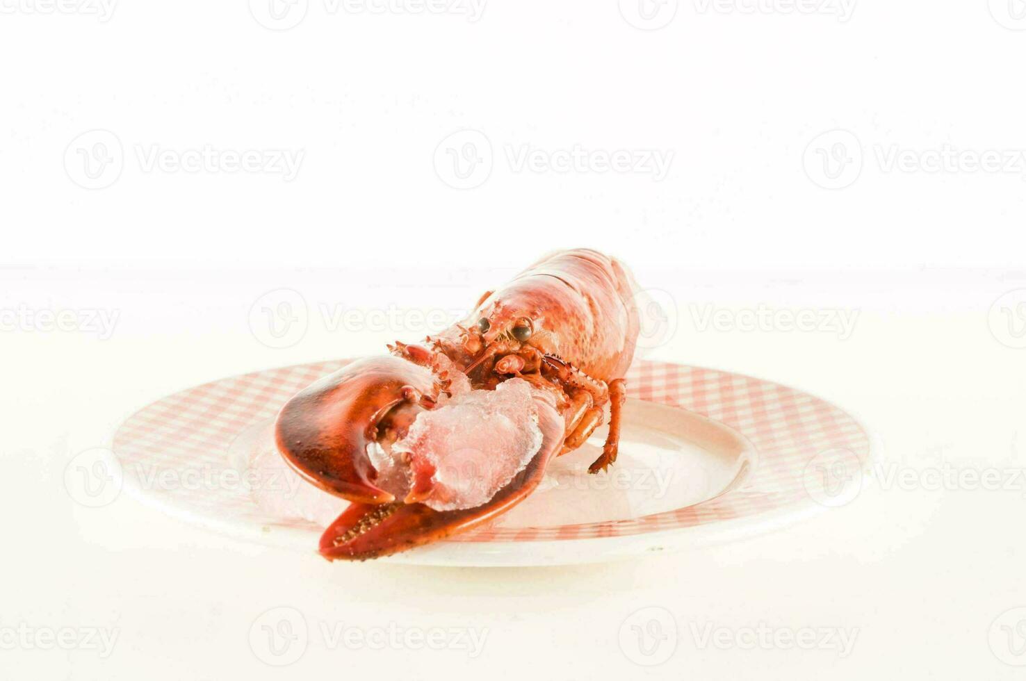 une Homard sur une assiette avec une blanc Contexte photo