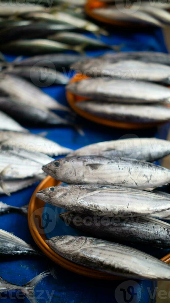 Frais Fruit de mer sur le poisson marché photo