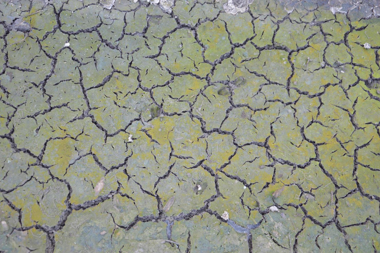 texture du sol sec et craquelé photo