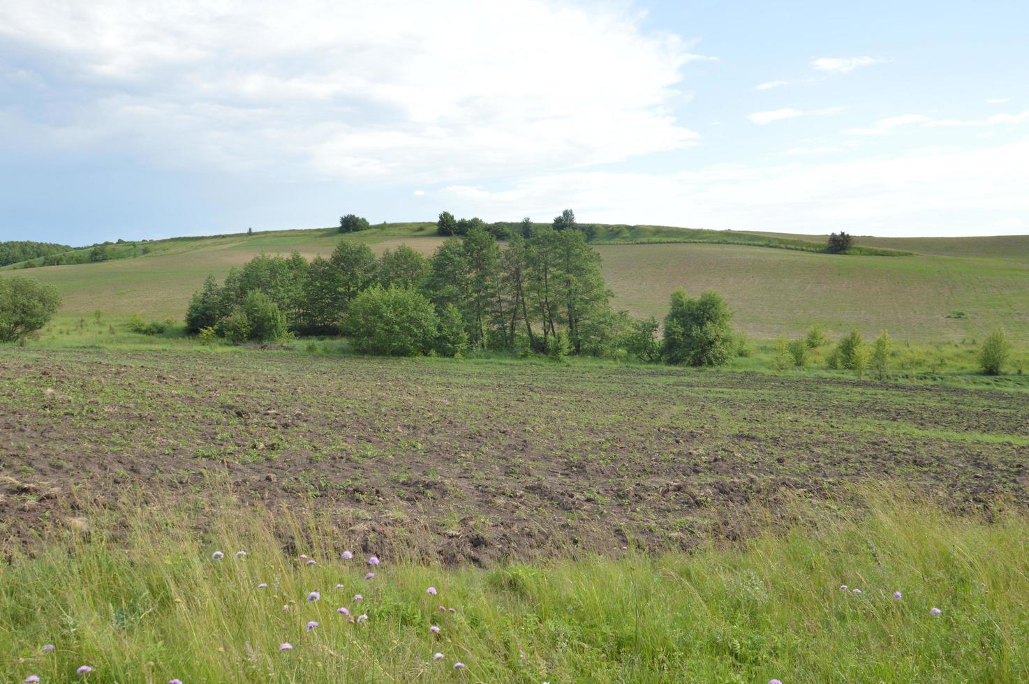 un champ labouré dans les collines photo