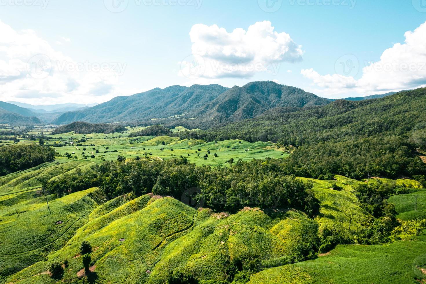 vues sur les paysages de terrain et champs verts par temps clair photo