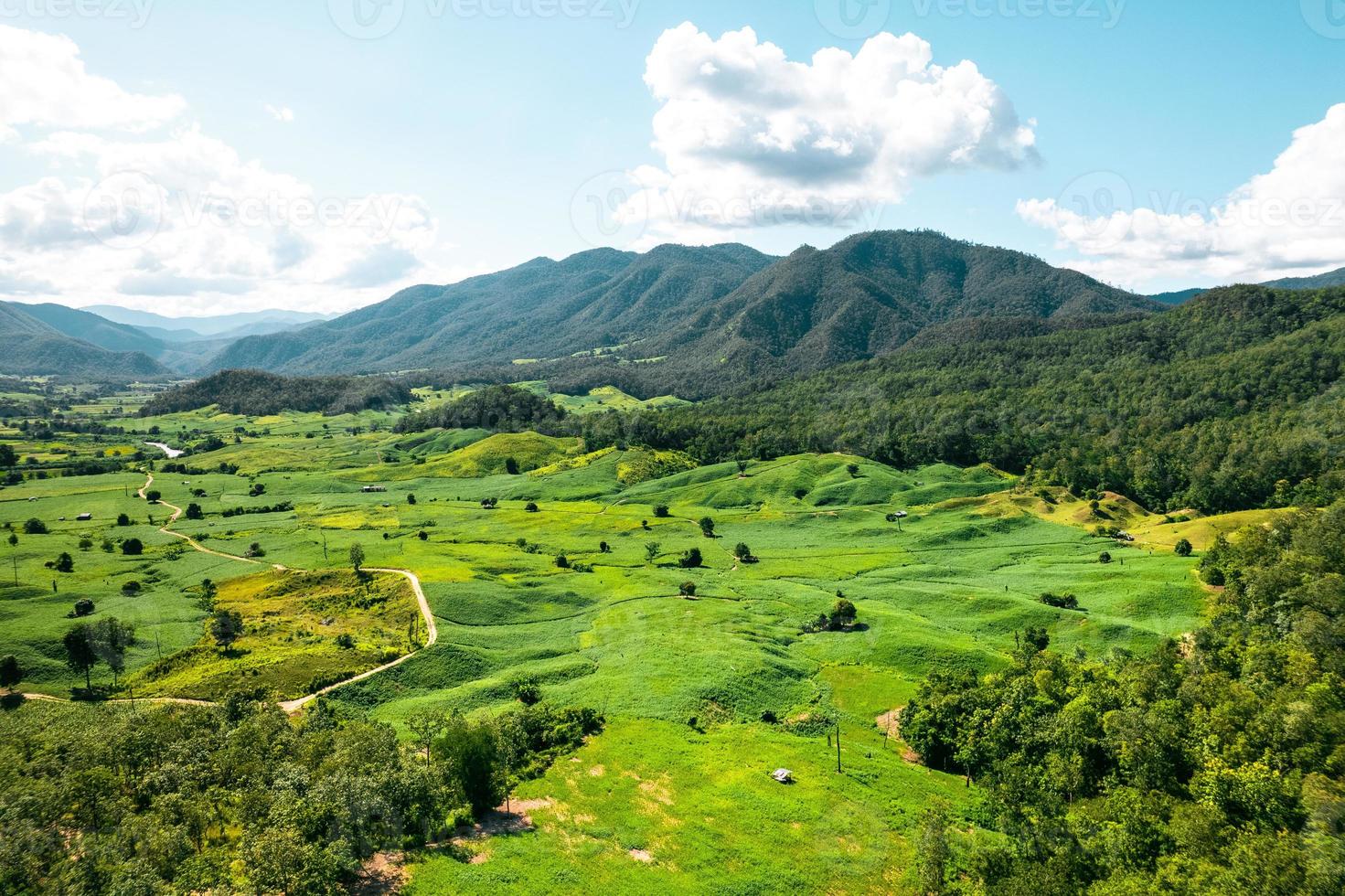 vues sur les paysages de terrain et champs verts par temps clair photo