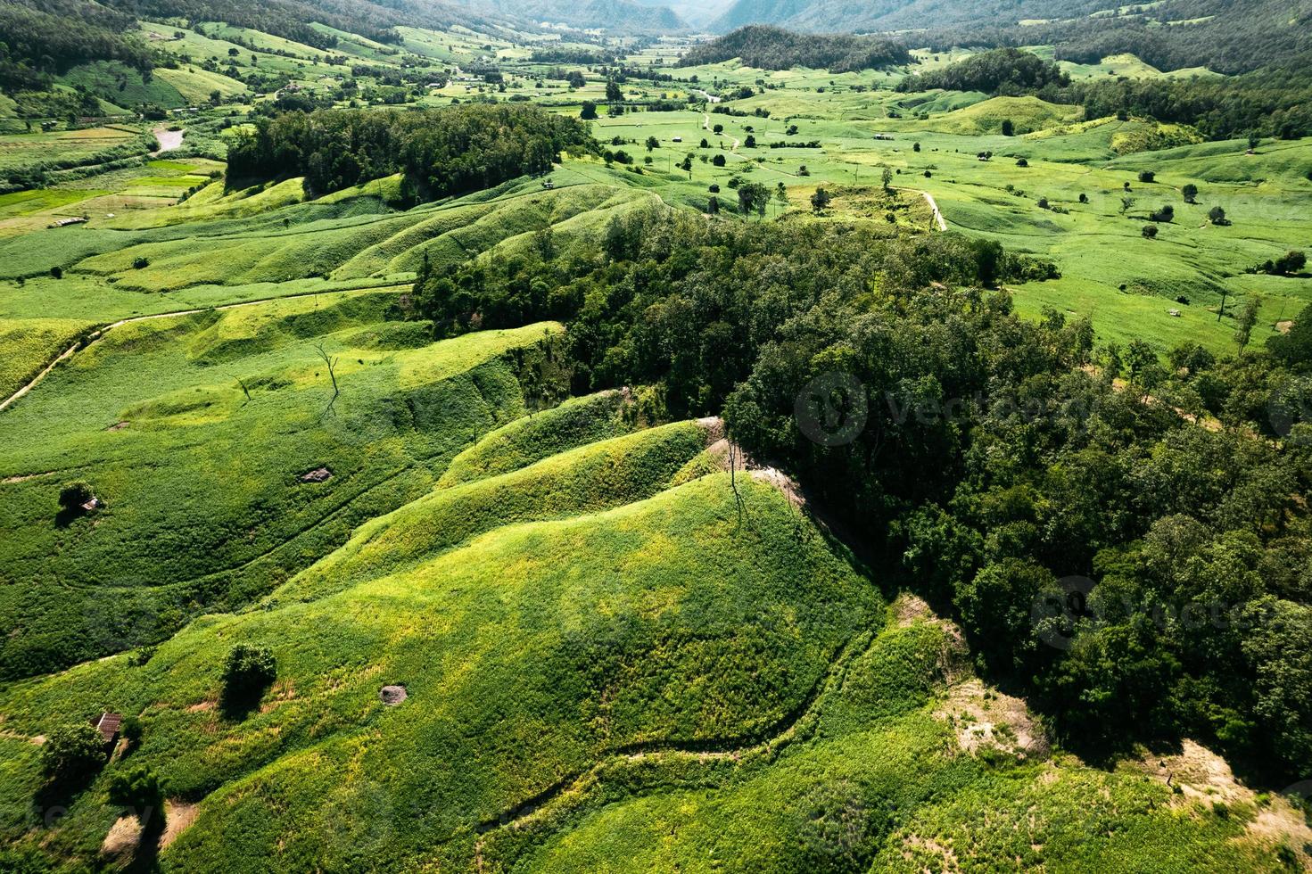 vues sur les paysages de terrain et champs verts par temps clair photo