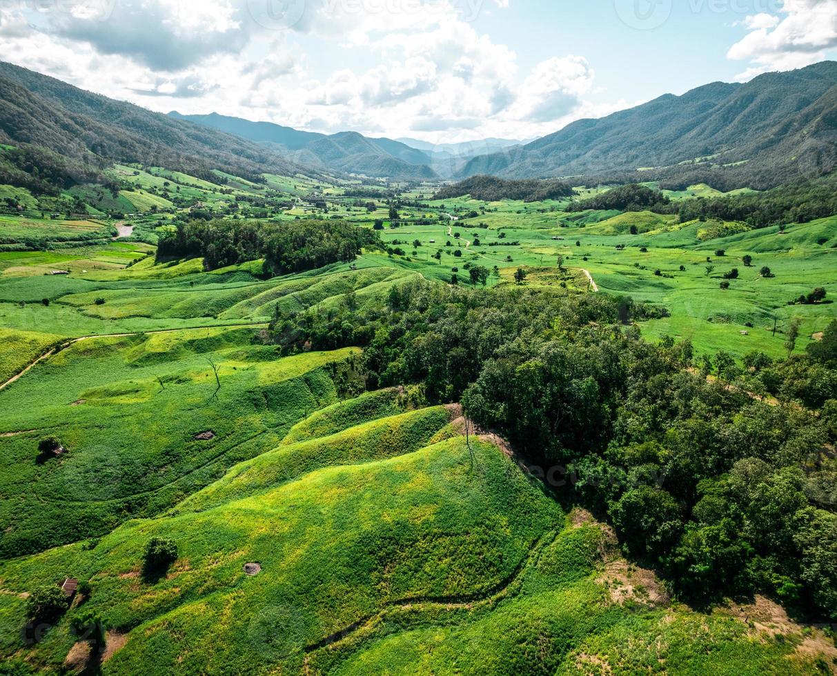 vues sur les paysages de terrain et champs verts par temps clair photo