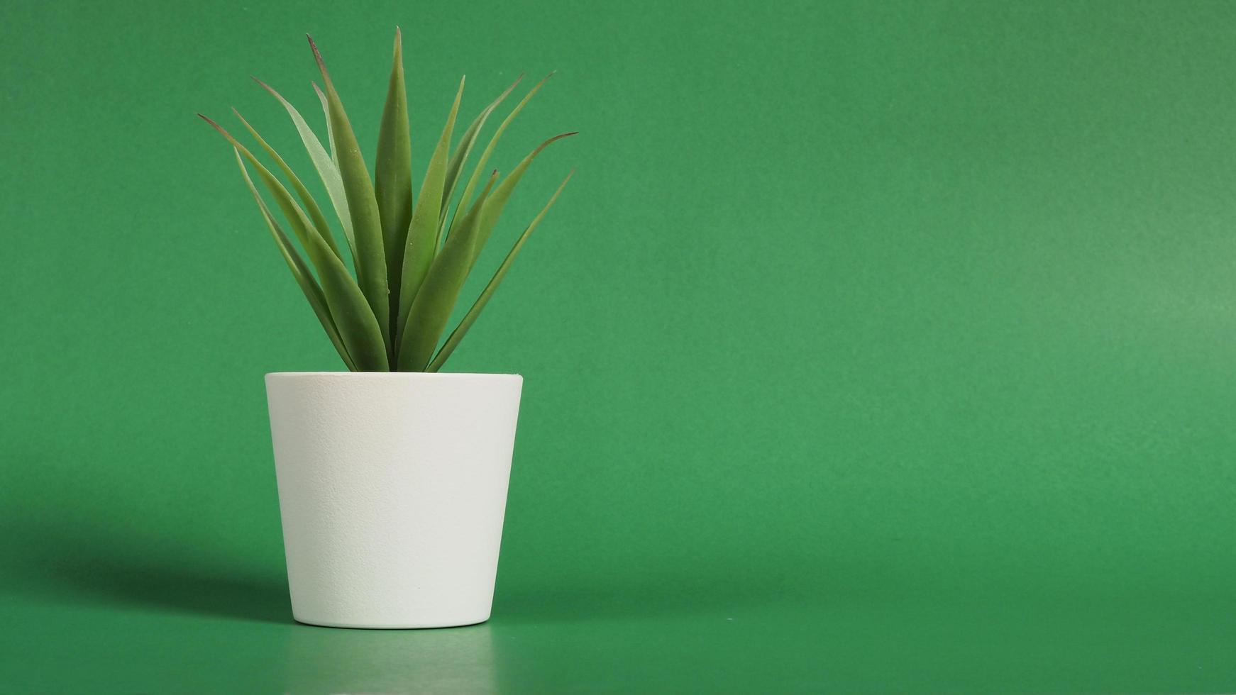 cactus artificiels ou arbre en plastique ou faux sur fond vert. photo