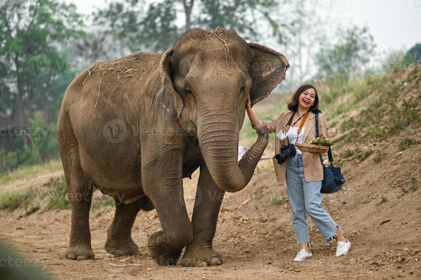 les femmes touristes nourrissent les éléphants de manière amusante. photo