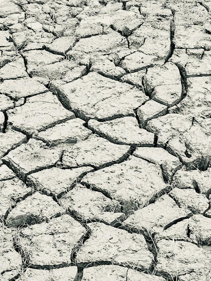 une noir et blanc photo de une fissuré sol