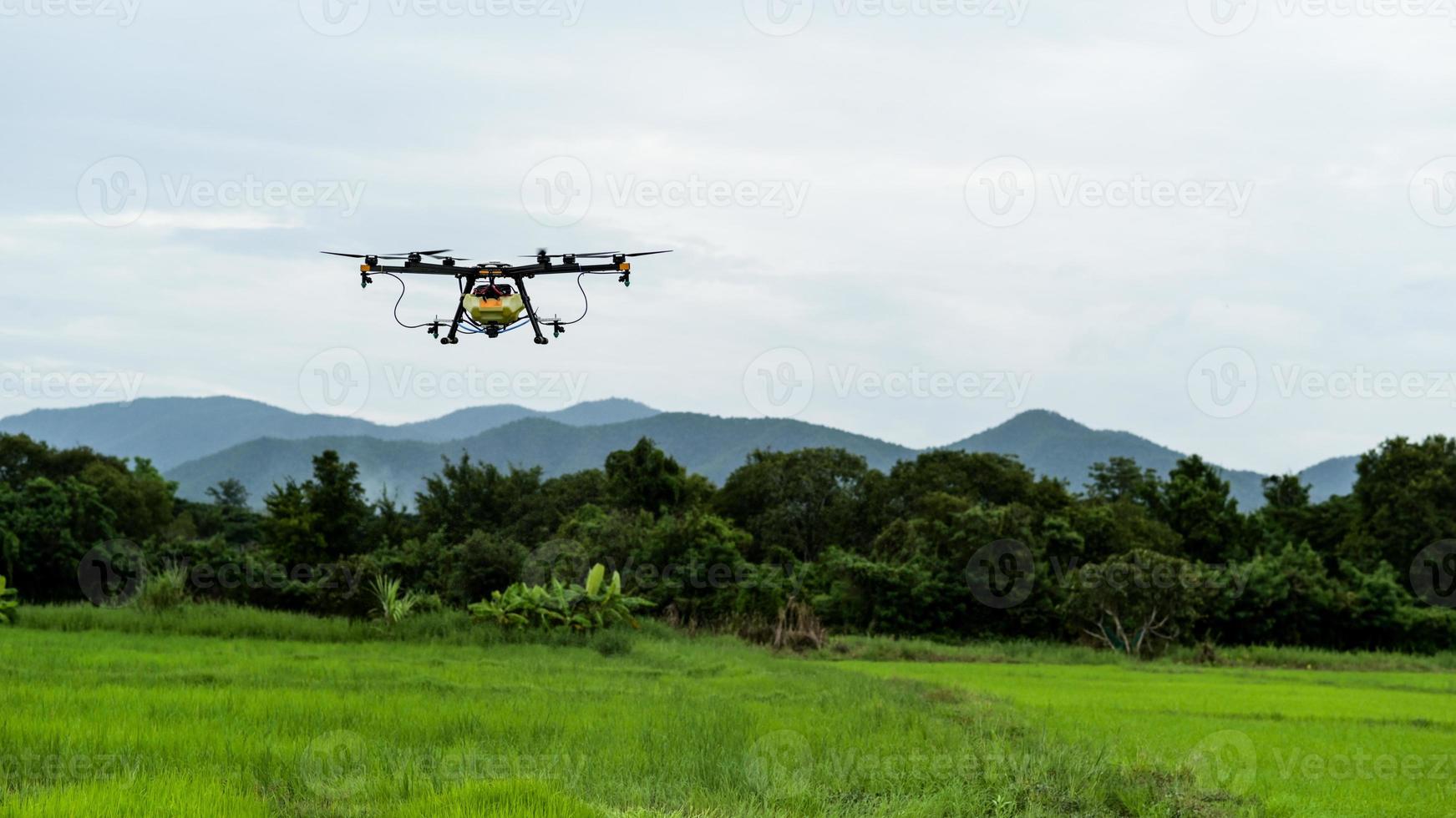 drones pour la pulvérisation d'engrais et de produits chimiques dans l'agriculture, l'agriculture moderne. photo